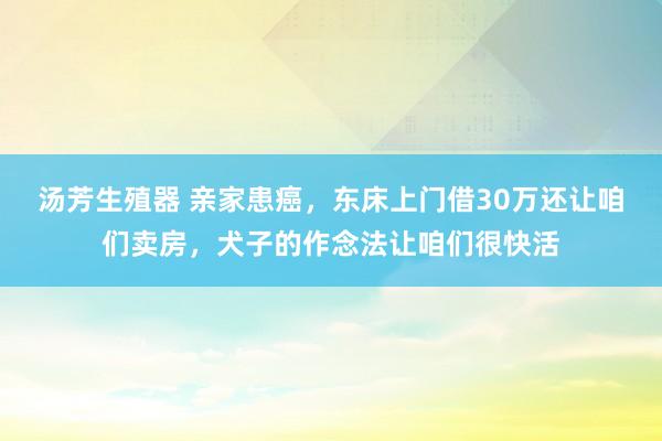 汤芳生殖器 亲家患癌，东床上门借30万还让咱们卖房，犬子的作念法让咱们很快活