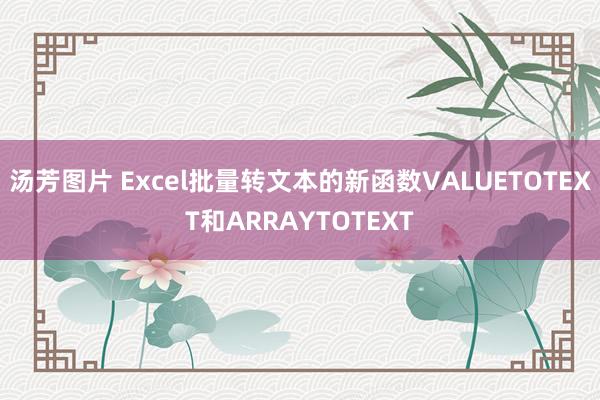 汤芳图片 Excel批量转文本的新函数VALUETOTEXT和ARRAYTOTEXT