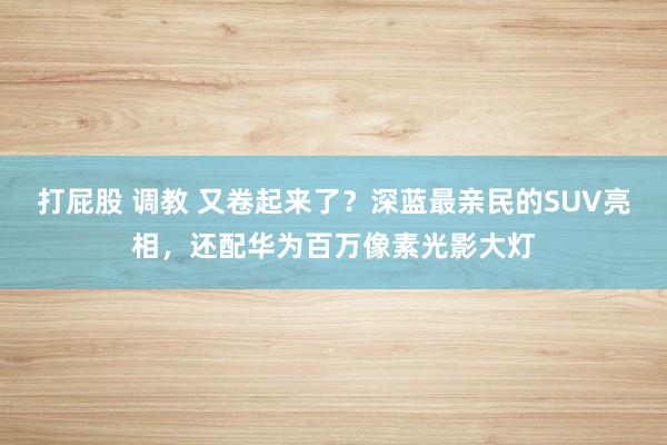 打屁股 调教 又卷起来了？深蓝最亲民的SUV亮相，还配华为百万像素光影大灯