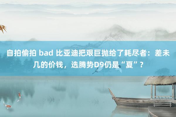 自拍偷拍 bad 比亚迪把艰巨抛给了耗尽者：差未几的价钱，选腾势D9仍是“夏”？