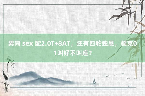 男同 sex 配2.0T+8AT，还有四轮独悬，领克01叫好不叫座？