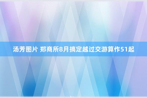 汤芳图片 郑商所8月搞定越过交游算作51起