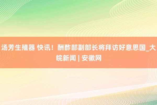 汤芳生殖器 快讯！酬酢部副部长将拜访好意思国_大皖新闻 | 安徽网