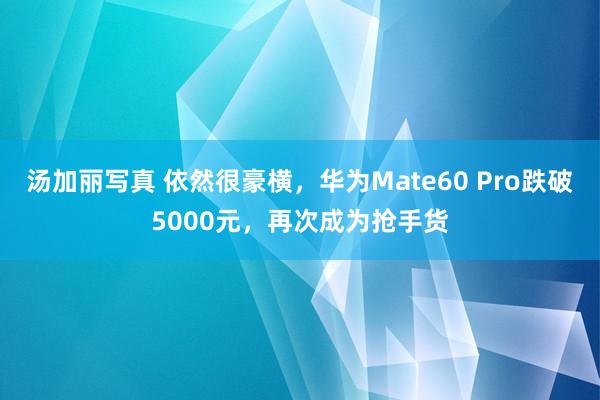 汤加丽写真 依然很豪横，华为Mate60 Pro跌破5000元，再次成为抢手货