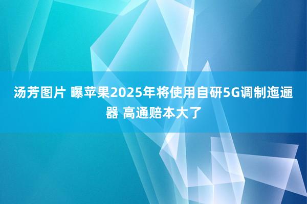 汤芳图片 曝苹果2025年将使用自研5G调制迤逦器 高通赔本大了