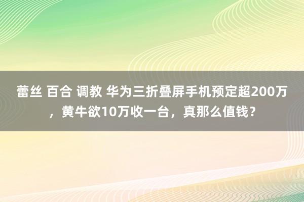 蕾丝 百合 调教 华为三折叠屏手机预定超200万，黄牛欲10万收一台，真那么值钱？