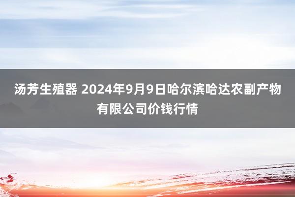 汤芳生殖器 2024年9月9日哈尔滨哈达农副产物有限公司价钱行情