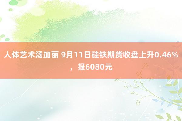 人体艺术汤加丽 9月11日硅铁期货收盘上升0.46%，报6080元