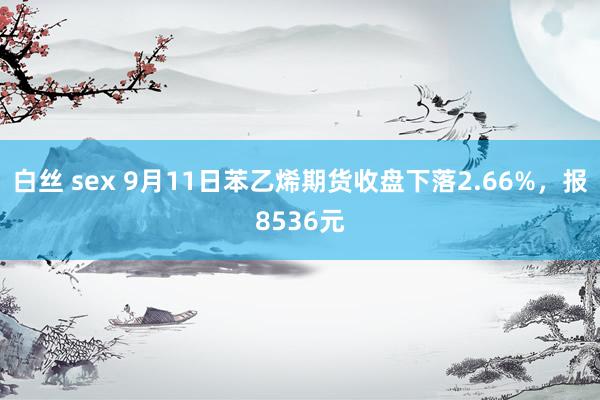 白丝 sex 9月11日苯乙烯期货收盘下落2.66%，报8536元