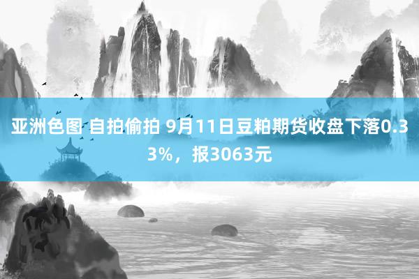 亚洲色图 自拍偷拍 9月11日豆粕期货收盘下落0.33%，报3063元