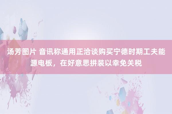 汤芳图片 音讯称通用正洽谈购买宁德时期工夫能源电板，在好意思拼装以幸免关税