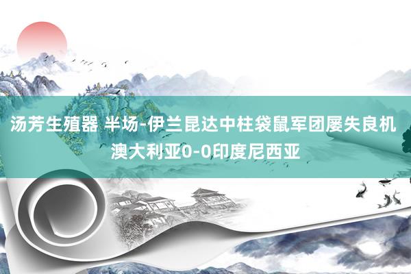 汤芳生殖器 半场-伊兰昆达中柱袋鼠军团屡失良机 澳大利亚0-0印度尼西亚