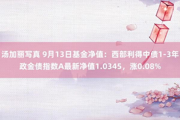 汤加丽写真 9月13日基金净值：西部利得中债1-3年政金债指数A最新净值1.0345，涨0.08%