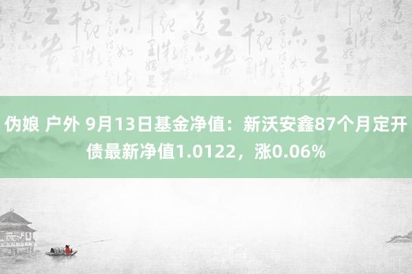 伪娘 户外 9月13日基金净值：新沃安鑫87个月定开债最新净值1.0122，涨0.06%