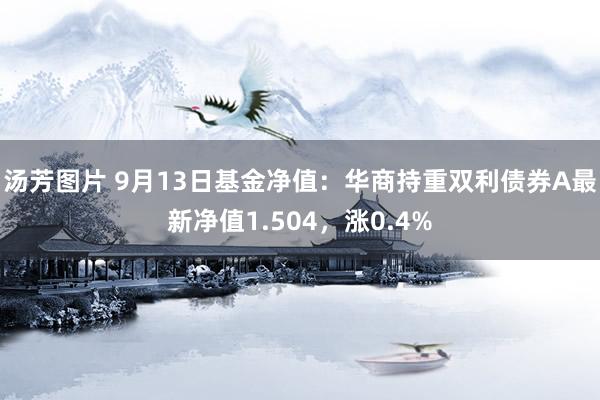 汤芳图片 9月13日基金净值：华商持重双利债券A最新净值1.504，涨0.4%