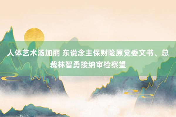 人体艺术汤加丽 东说念主保财险原党委文书、总裁林智勇接纳审检察望