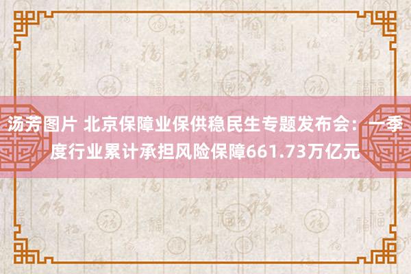 汤芳图片 北京保障业保供稳民生专题发布会：一季度行业累计承担风险保障661.73万亿元