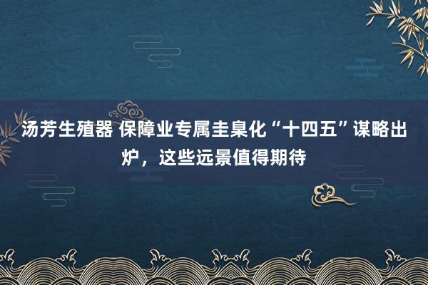 汤芳生殖器 保障业专属圭臬化“十四五”谋略出炉，这些远景值得期待