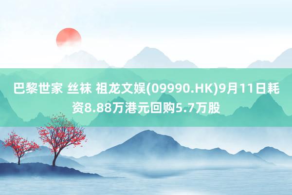 巴黎世家 丝袜 祖龙文娱(09990.HK)9月11日耗资8.88万港元回购5.7万股