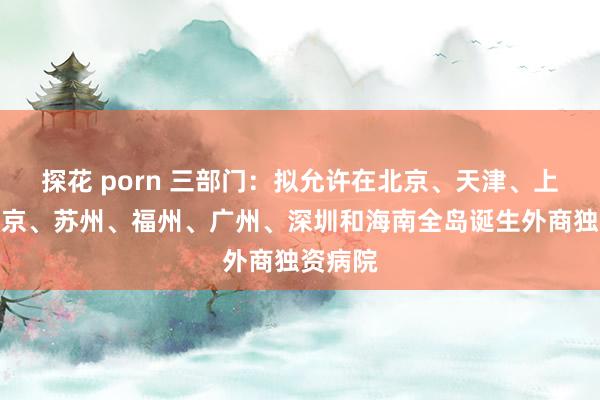 探花 porn 三部门：拟允许在北京、天津、上海、南京、苏州、福州、广州、深圳和海南全岛诞生外商独资病院