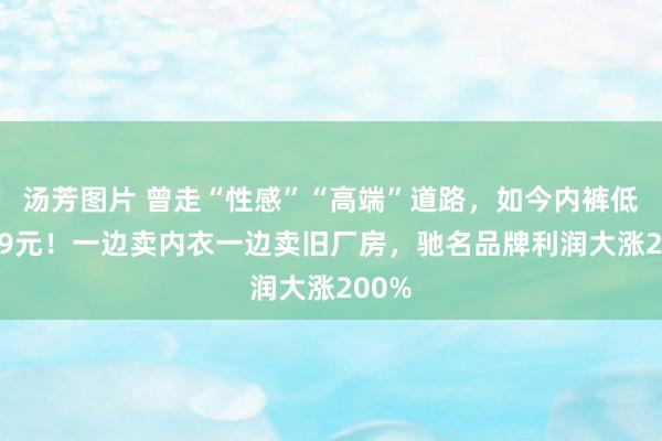 汤芳图片 曾走“性感”“高端”道路，如今内裤低至9.9元！一边卖内衣一边卖旧厂房，驰名品牌利润大涨200%