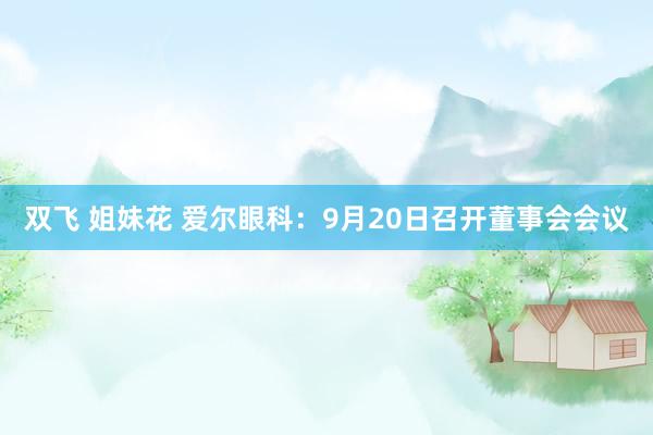 双飞 姐妹花 爱尔眼科：9月20日召开董事会会议