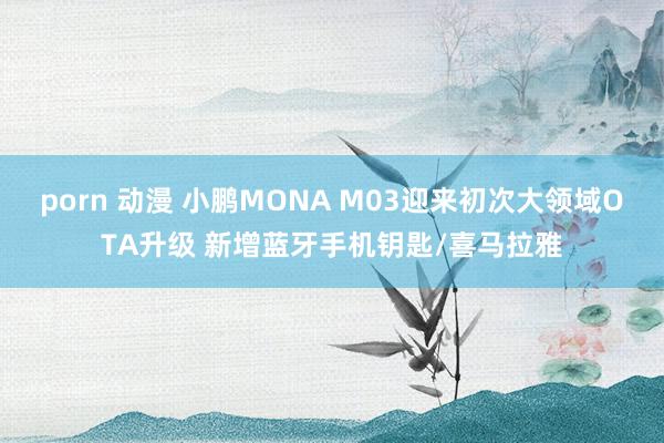 porn 动漫 小鹏MONA M03迎来初次大领域OTA升级 新增蓝牙手机钥匙/喜马拉雅