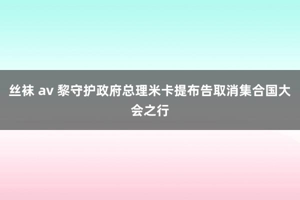 丝袜 av 黎守护政府总理米卡提布告取消集合国大会之行