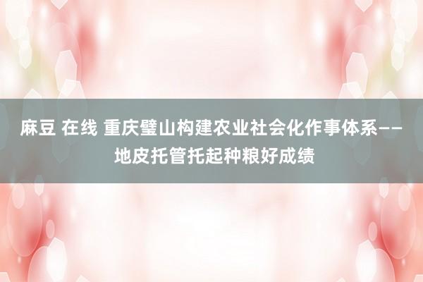 麻豆 在线 重庆璧山构建农业社会化作事体系—— 地皮托管托起种粮好成绩