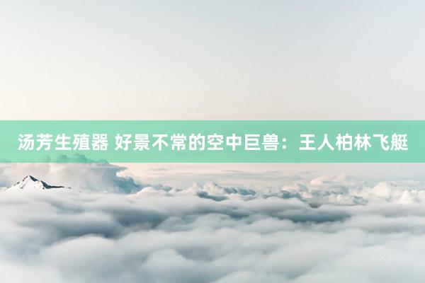 汤芳生殖器 好景不常的空中巨兽：王人柏林飞艇