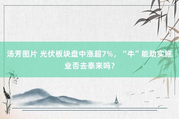 汤芳图片 光伏板块盘中涨超7%，“牛”能助实施业否去泰来吗？