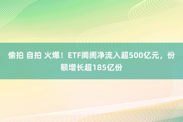 偷拍 自拍 火爆！ETF阛阓净流入超500亿元，份额增长超185亿份