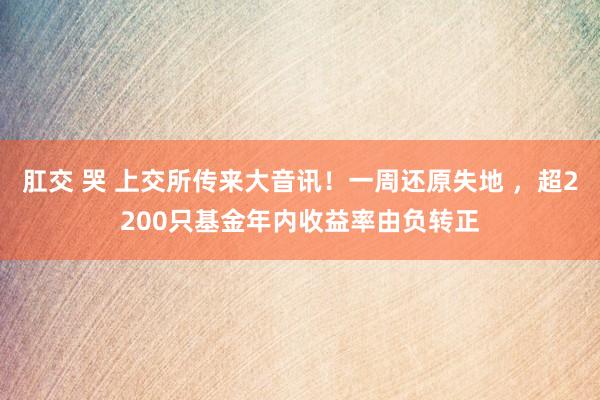 肛交 哭 上交所传来大音讯！一周还原失地 ，超2200只基金年内收益率由负转正