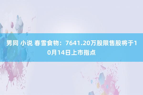 男同 小说 春雪食物：7641.20万股限售股将于10月14日上市指点