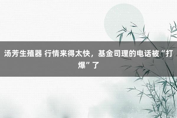 汤芳生殖器 行情来得太快，基金司理的电话被“打爆”了