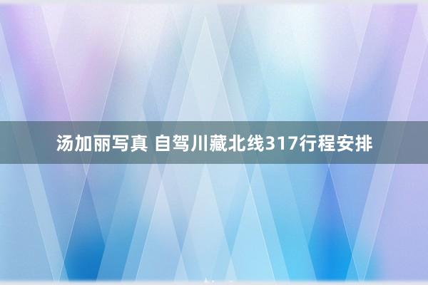 汤加丽写真 自驾川藏北线317行程安排