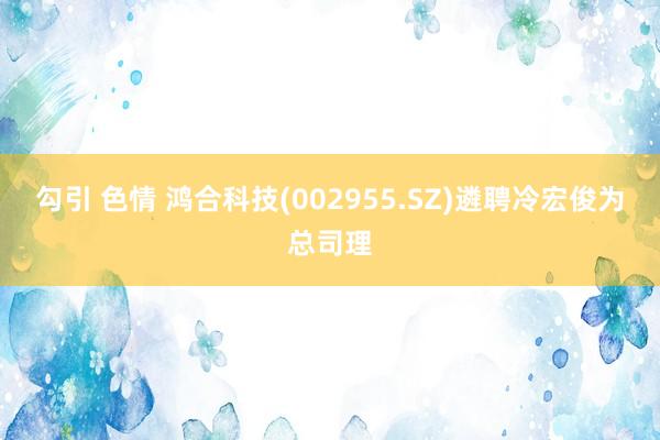 勾引 色情 鸿合科技(002955.SZ)遴聘冷宏俊为总司理