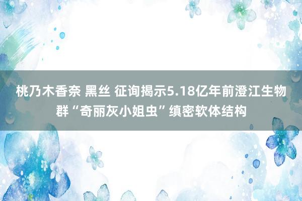 桃乃木香奈 黑丝 征询揭示5.18亿年前澄江生物群“奇丽灰小姐虫”缜密软体结构