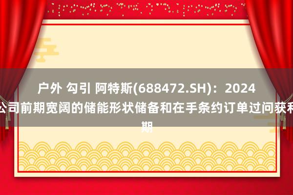 户外 勾引 阿特斯(688472.SH)：2024年公司前期宽阔的储能形状储备和在手条约订单过问获利期