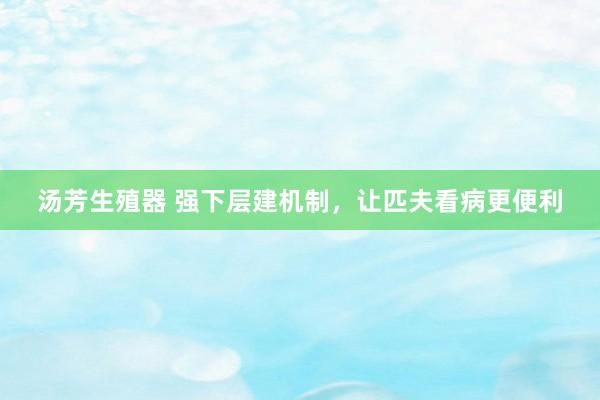 汤芳生殖器 强下层建机制，让匹夫看病更便利