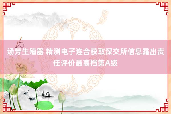 汤芳生殖器 精测电子连合获取深交所信息露出责任评价最高档第A级