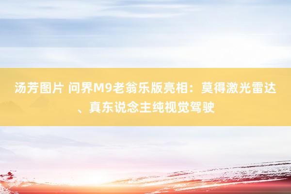 汤芳图片 问界M9老翁乐版亮相：莫得激光雷达、真东说念主纯视觉驾驶