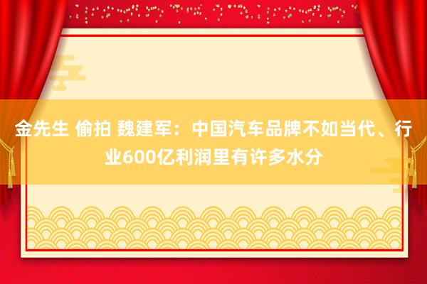 金先生 偷拍 魏建军：中国汽车品牌不如当代、行业600亿利润里有许多水分