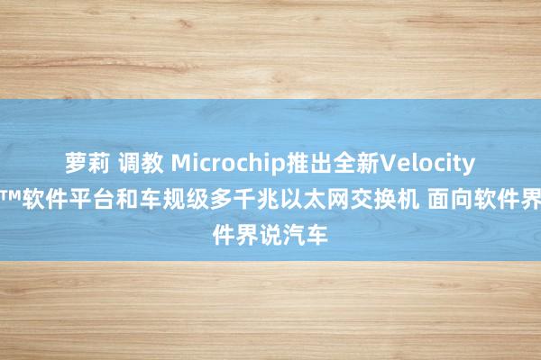 萝莉 调教 Microchip推出全新VelocityDRIVE™软件平台和车规级多千兆以太网交换机 面向软件界说汽车