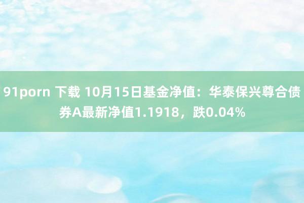 91porn 下载 10月15日基金净值：华泰保兴尊合债券A最新净值1.1918，跌0.04%