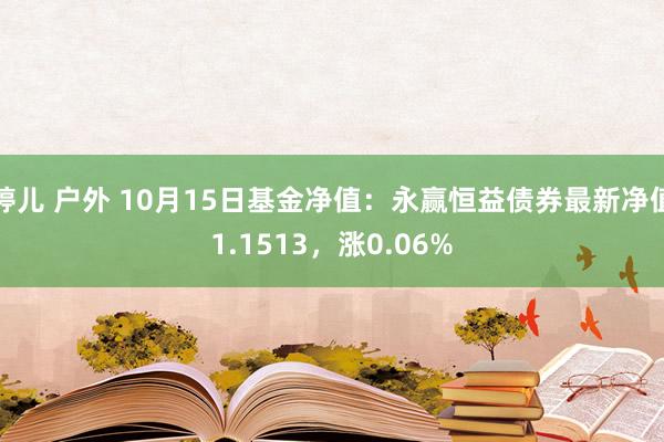 婷儿 户外 10月15日基金净值：永赢恒益债券最新净值1.1513，涨0.06%