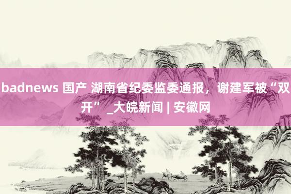 badnews 国产 湖南省纪委监委通报，谢建军被“双开” _大皖新闻 | 安徽网