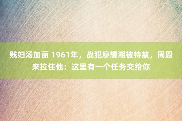 贱妇汤加丽 1961年，战犯廖耀湘被特赦，周恩来拉住他：这里有一个任务交给你