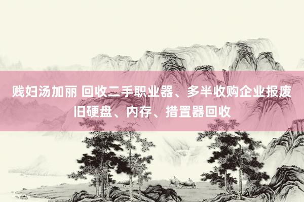 贱妇汤加丽 回收二手职业器、多半收购企业报废旧硬盘、内存、措置器回收