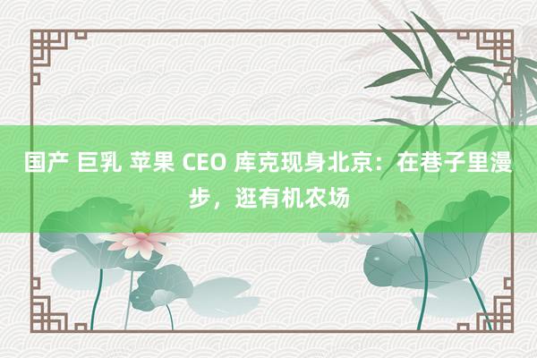 国产 巨乳 苹果 CEO 库克现身北京：在巷子里漫步，逛有机农场